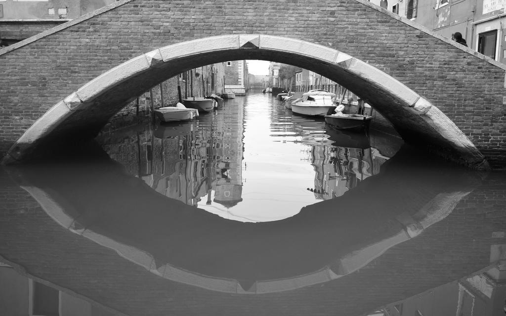 Biennale 252 Appartement