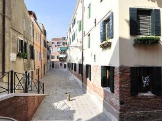 Biennale 252 * Venise